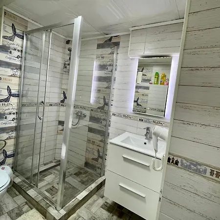 Tampa * בראשוב