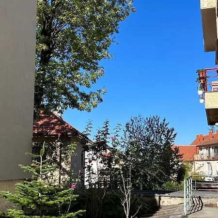 Tampa Lejlighed Braşov