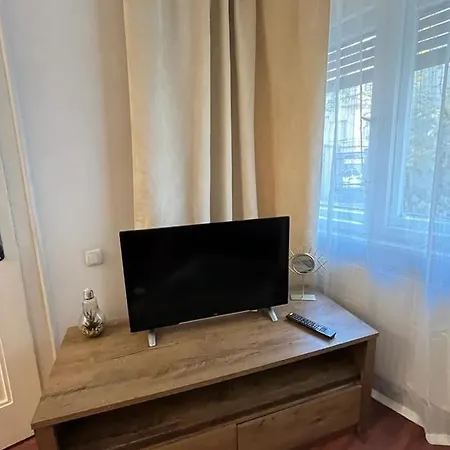 Tampa * Braşov