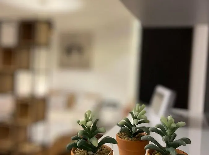 Tampa Апартаменти *