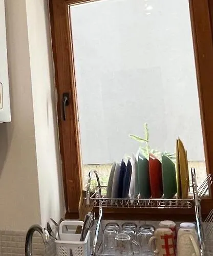 Tampa * Брашов